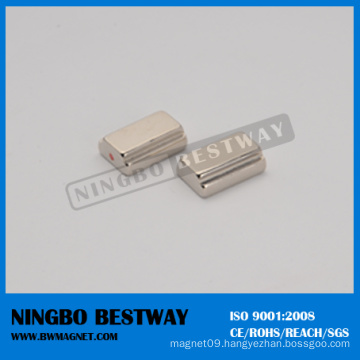 China Customer Shape NdFeB Magnets